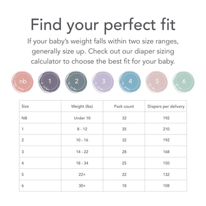 Everylife Diapers & Wipes Bundle